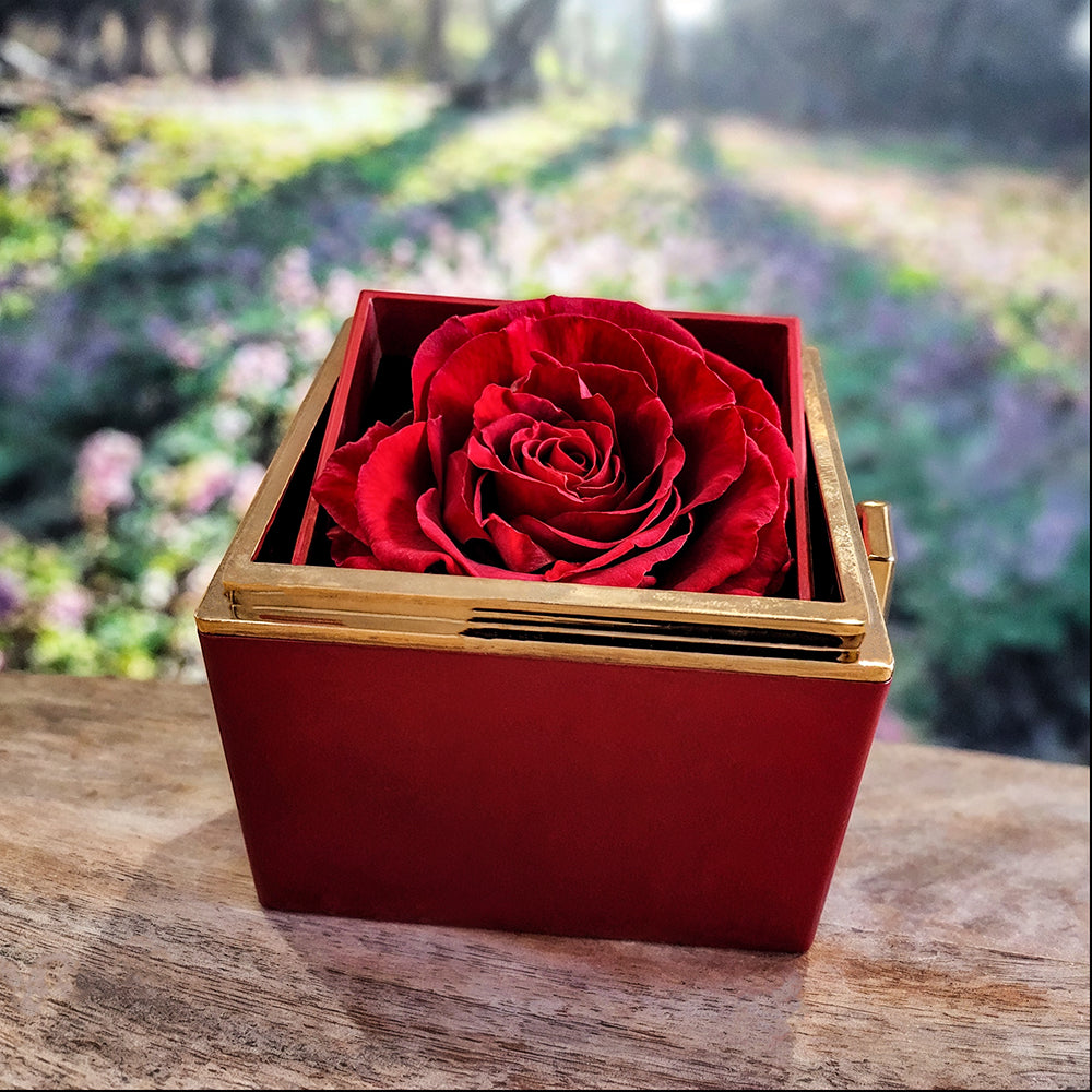 To My Amazing Mom – Love Knot Necklace in Rotating Jewelry Box