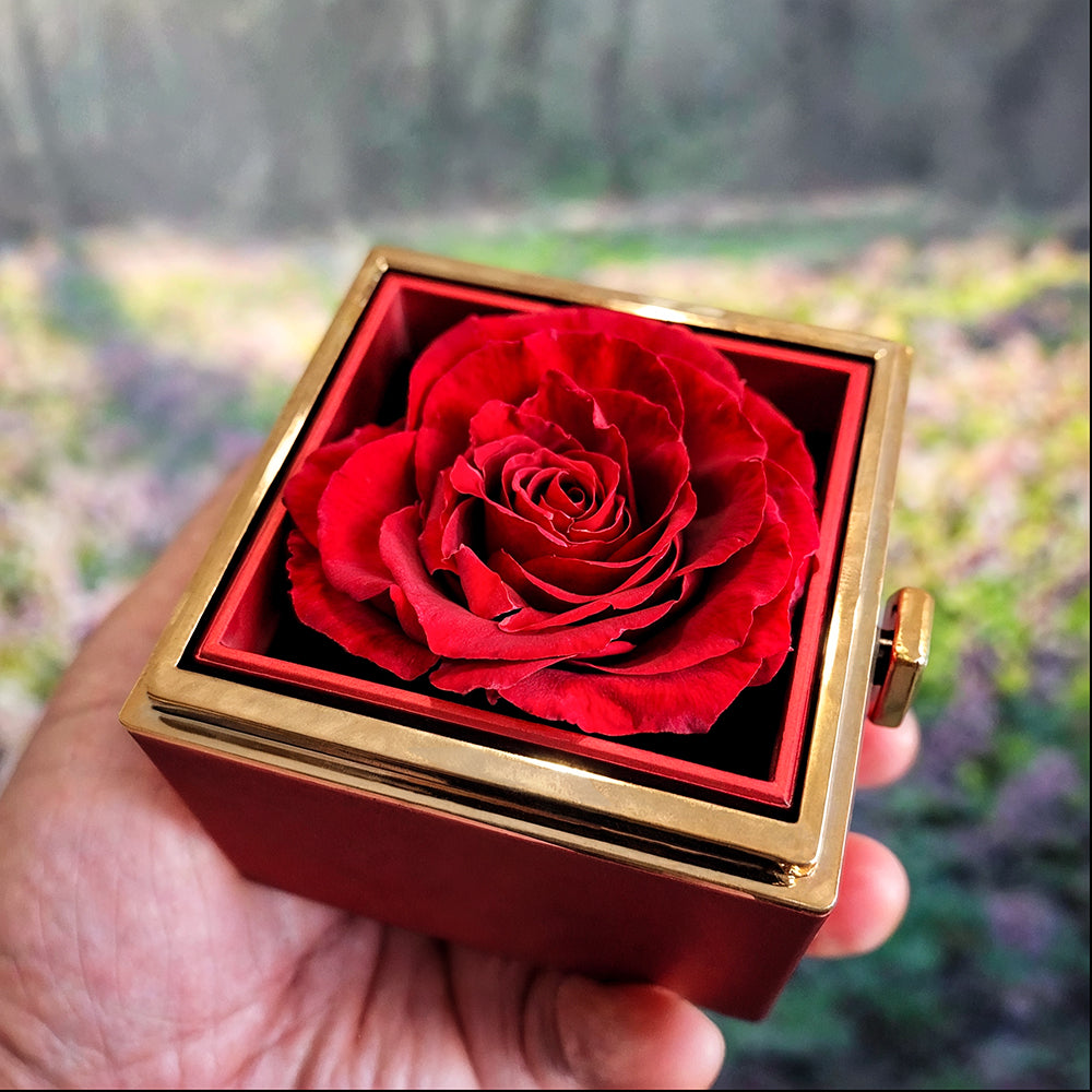 To My Amazing Mom – Love Knot Necklace in Rotating Jewelry Box