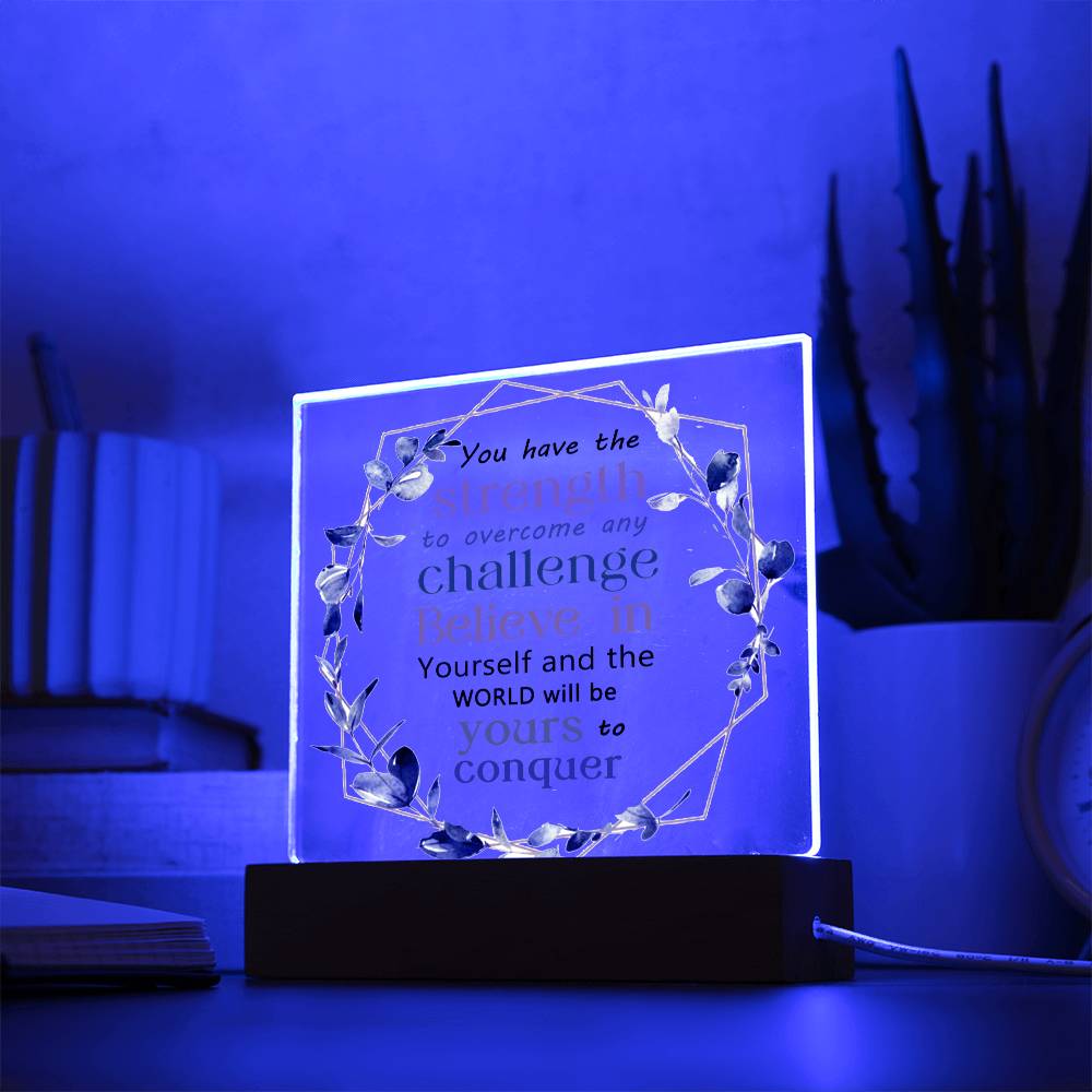 LED acrylic plaque