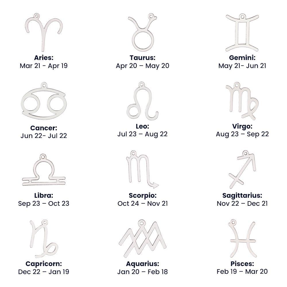 Capricorn - Silver Zodiac Sign Necklace