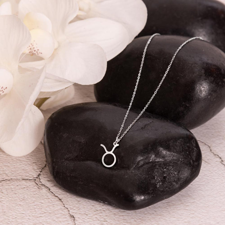 Taurus Zodiac Symbol Silver Necklace for Women