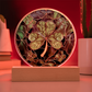 St. Patrick's Day Decor - Four Leaf Clover Plaque