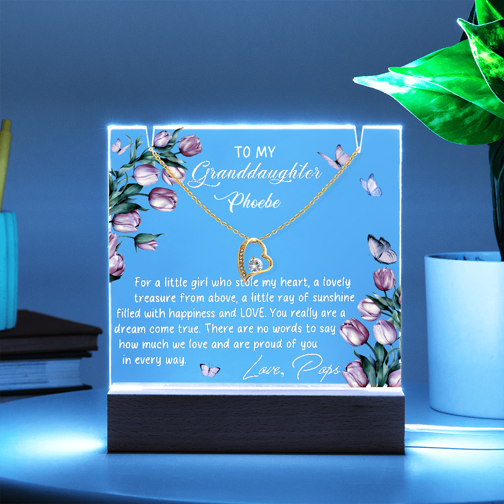 To My Granddaughter Necklace from Pop