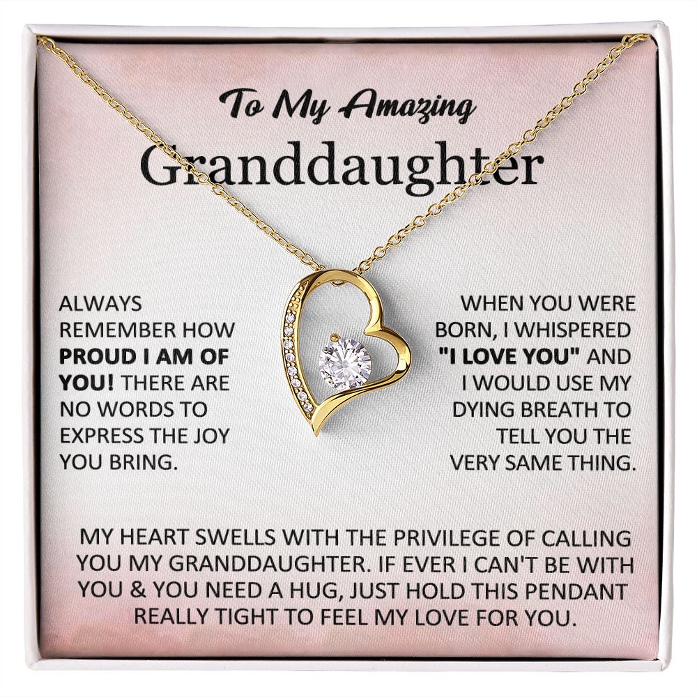 To My Granddaughter – Proud Love Necklace